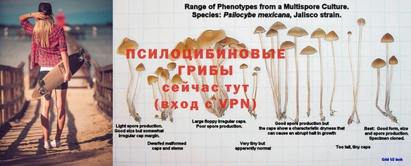 первитин Россошь