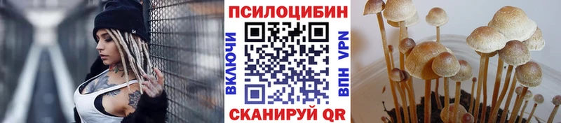 Галлюциногенные грибы мухоморы  Сокол 